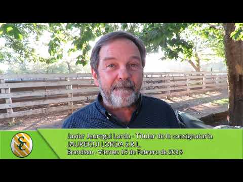 15-02-19 - Javier Jauregui Lorda - Consignatario - Jauregui Lorda S.R.L. - Brandsen