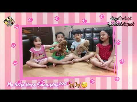 Mo-Gend Haro Sumandak?? (Mo-Gend got new Girlfriend??)