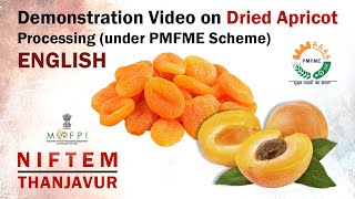 Demonstration Video on Dried Apricot Processing (under PMFME Scheme) - ENGLISH