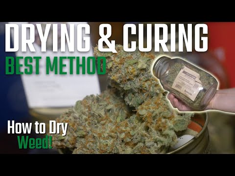 How to Dry and Cure Weed in a 2x2 Tent (Dry Trimming)