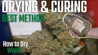 How To Dry and Cure Weed in a 2x2 Tent (Dry Trimming)