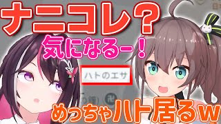 【GeoGuessr】超ローカルスポットが気になるあずきち【ホロライブ/AZKi/あずきち/夏色まつり】