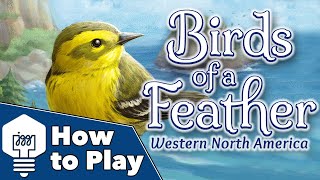 John Gets Games - Birds of a Feather video thumbnail