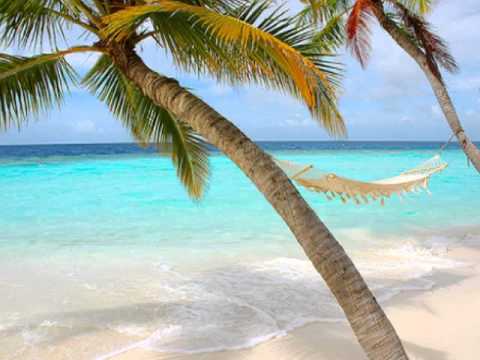 Dj Next - Summer Hit 2010