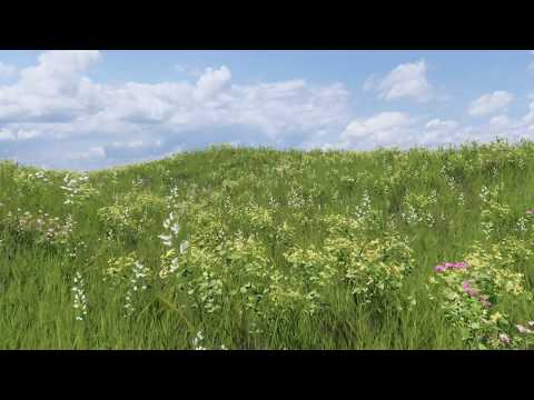 Skatter Clustering and Animation Test