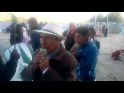 Llachacata 2017_ con los olivos de vilquechico