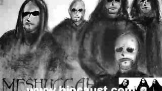 Meshuggah - Ritual (VST cover)