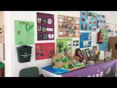 Vídeo Colegio Jardín Botánico