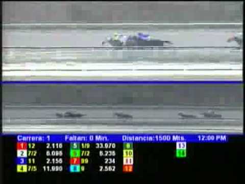 1ERA CARRERA VIERNES 19 ABRIL LA RINCONADA AUDIOHIPISMO