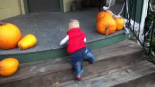 Swiss Baby the Epic part1