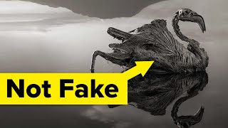 Can Photography Change The World?