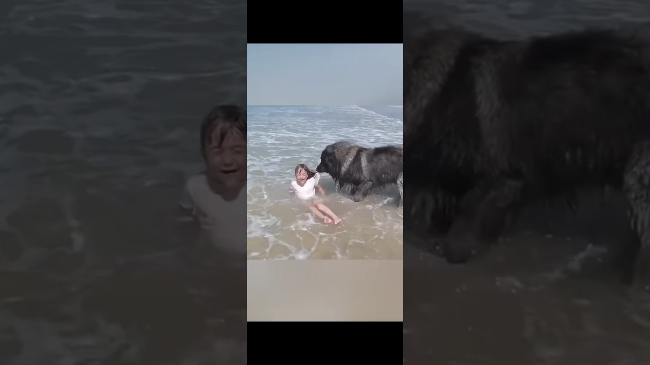 MrEITA funny video😂😂😂#mreita #funny