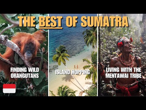 Exploring Sumatra: Living With A Tribe & Finding Wild Orangutans