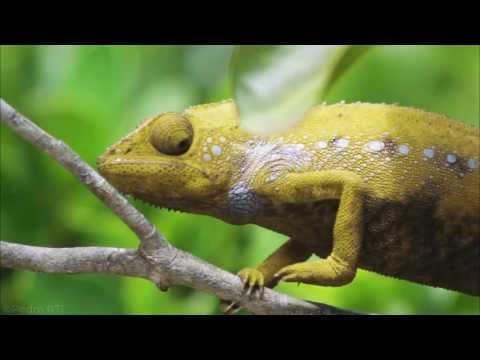 ❤ Música maravilhosa para relaxar♫piano suave e violino, imagens belíssimas ao vivo!