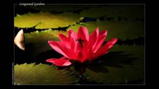 LINDSEY STIRLING - CRYSTALLIZE