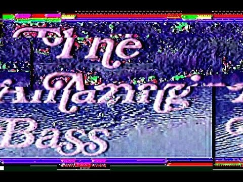 The Amazing Bass - Moosapotamus 360 Bass Fuzz Review