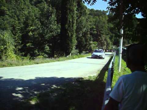 Rally Citta Di Camaiore 2013 PS 4 (Bindi-Tricoli)