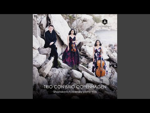 Piano Trio No. 1 in D Minor, Op. 32: IV. Finale. Allegro non troppo