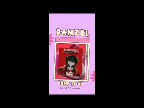 Danzel -  Pump It Up (Dj Turtle Mashup)