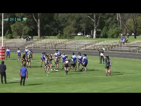 Round 3 v Two Blues - 1st Colts Highlights