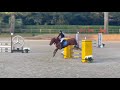 Ruin Franse rijpony PFS Te koop 2019 Vos ,  Mon Nantano de florys