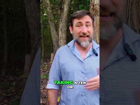 Master D&D Skill Checks  When to Roll or Not