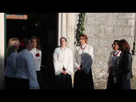 KLAPA NAVA -  KOLUDRICE MLADA