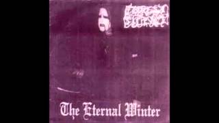 Forest Silence - The Eternal Winter (Full Demo) - 2002