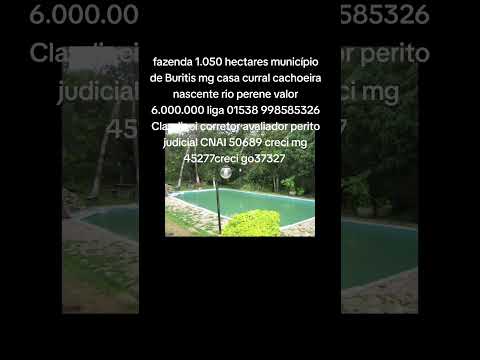 Fazenda 1.050 hectares valor 6.000.000 milhões município de Buritis mg #fazenda