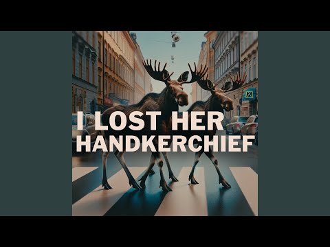 I Lost Her Handkerchief