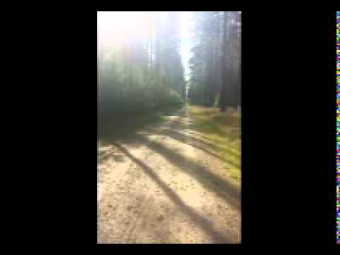 Don Danielo - Eine Träne die ich weine