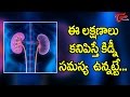 These Are Symptoms Of Kidney Disease