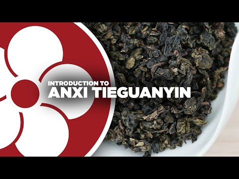 What is ANXI OOLONG? (a.k.a. Tie Guan Yin / Iron Goddess of Mercy)