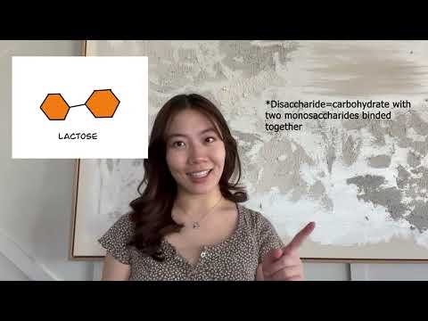 The Enzyme Substrate Complex: A Lactose Intolerance Story || Breakthrough Junior Challenge 2023