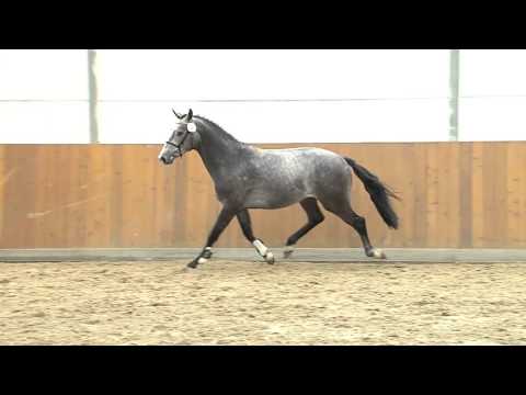 07 Numero Uno  Caretino