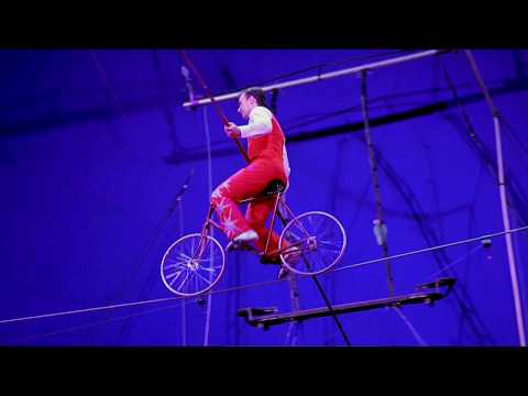 download lagu mp3 mp4 Circus Flora, download lagu Circus Flora gratis, unduh video klip Circus Flora