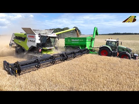 Getreideernte 2023 Gerste dreschen Mähdrescher CLAAS Traktor FENDT Lohnunternehmer Landwirtschaft 4.