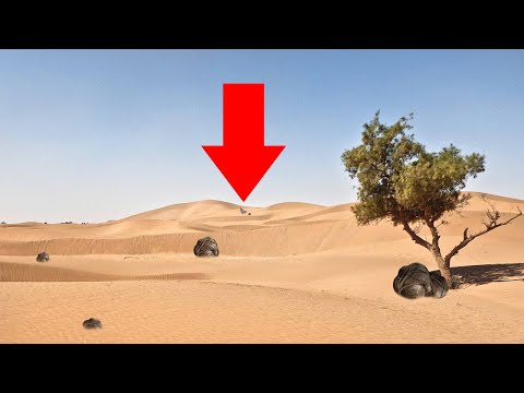 Wo ist Wolfo?.. #007 - ARK: Scorched Earth