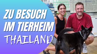 Zu Besuch im Tierheim in Thailand - Lanta Animal Welfare | Koh Lanta Vlog