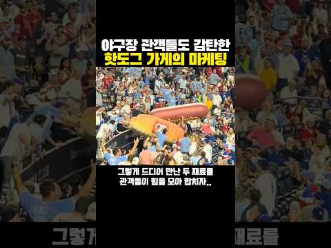 야구장 관객들도 ‘감탄한’ 핫도그 가게의 마케팅 방법?ㅋㅋㅋ