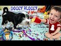 IT'S OREO! FUNnel V Fam Doggy Vloggy! Who's Harder to Handle, Puppy or Baby After Christmas Vlo