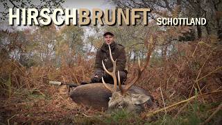Brunft in den Highlands | Rothirsch &amp; Sika Pirsch - Jagdkrone