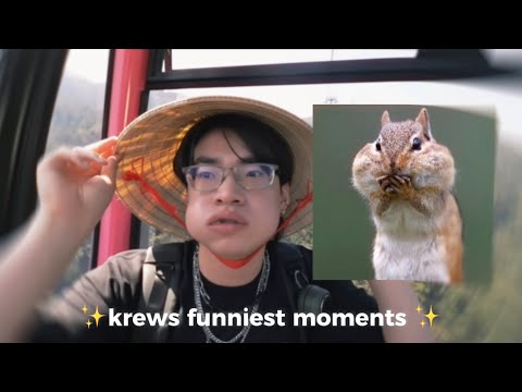 ✨ krews funniest moments ✨