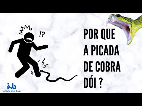 Por que picada de cobra dói ?