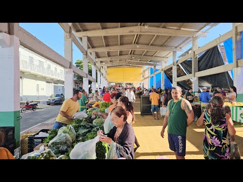 Feira livre de Itapetim PE em 11-12-25