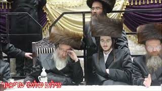 גרמן בחתונה של ביאלה