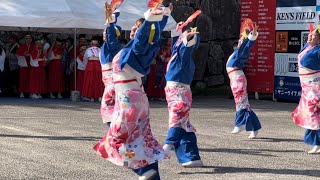 よさこい！わっしょい百万夏まつり。