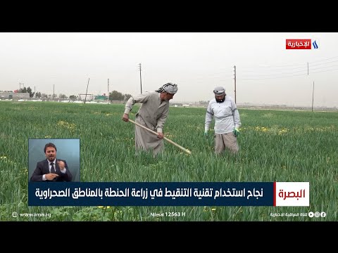 , title : 'نجاح استخدام تقنية التنقيط في زراعة الحنطة بالمناطق الصحراوية | تقرير علي عبدالعزيز'