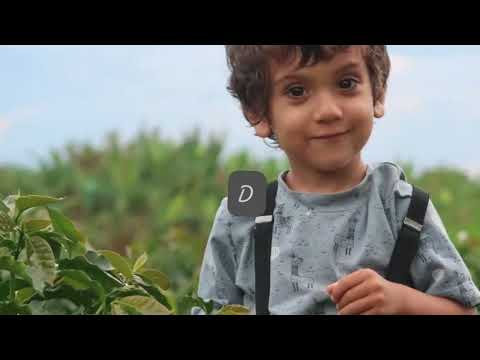 TOITICO BIEN EMPACAO(Katie James) 432 Hz- Ubuntu Coral