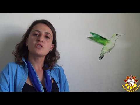 Carol Secretária do Meio Ambiente fala sobre o caso da Lagoa do 72